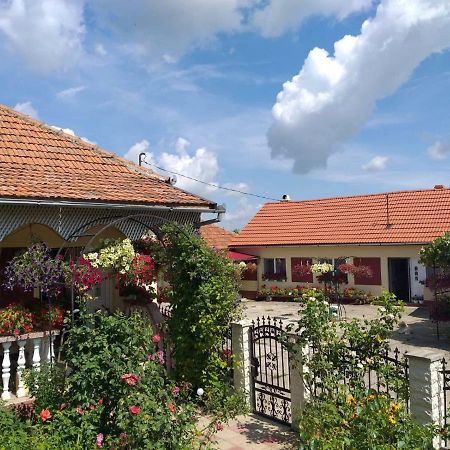La Mosu-N Retezat Guest House Nucsoara  Ngoại thất bức ảnh