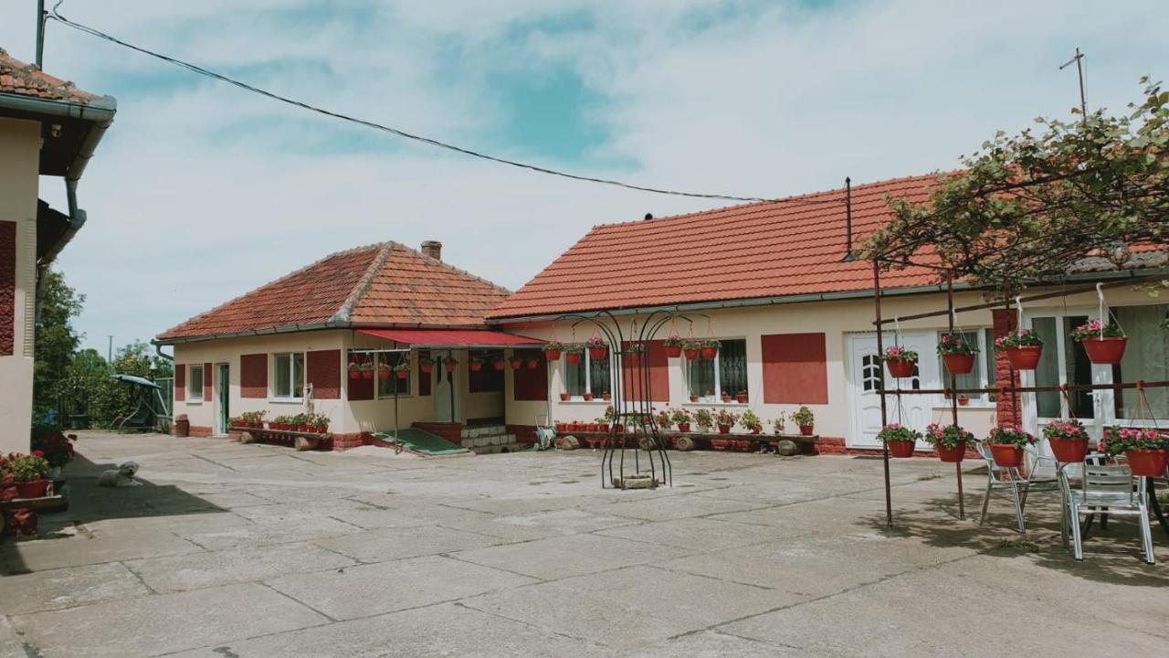 La Mosu-N Retezat Guest House Nucsoara  Ngoại thất bức ảnh