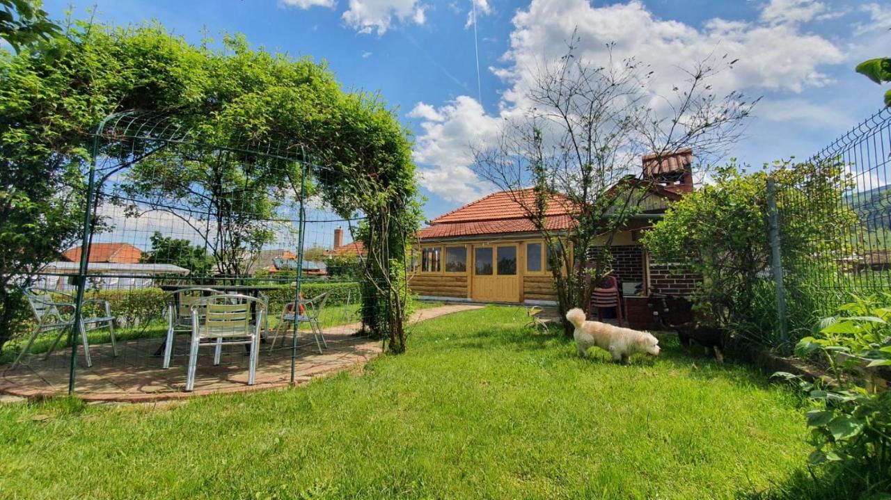 La Mosu-N Retezat Guest House Nucsoara  Ngoại thất bức ảnh