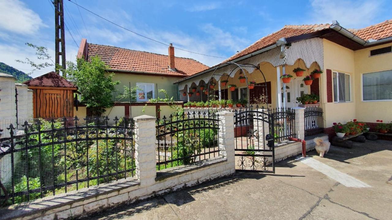 La Mosu-N Retezat Guest House Nucsoara  Ngoại thất bức ảnh