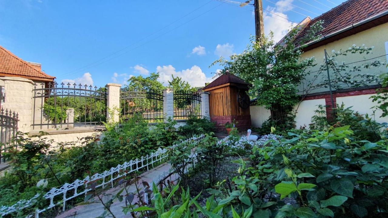 La Mosu-N Retezat Guest House Nucsoara  Ngoại thất bức ảnh