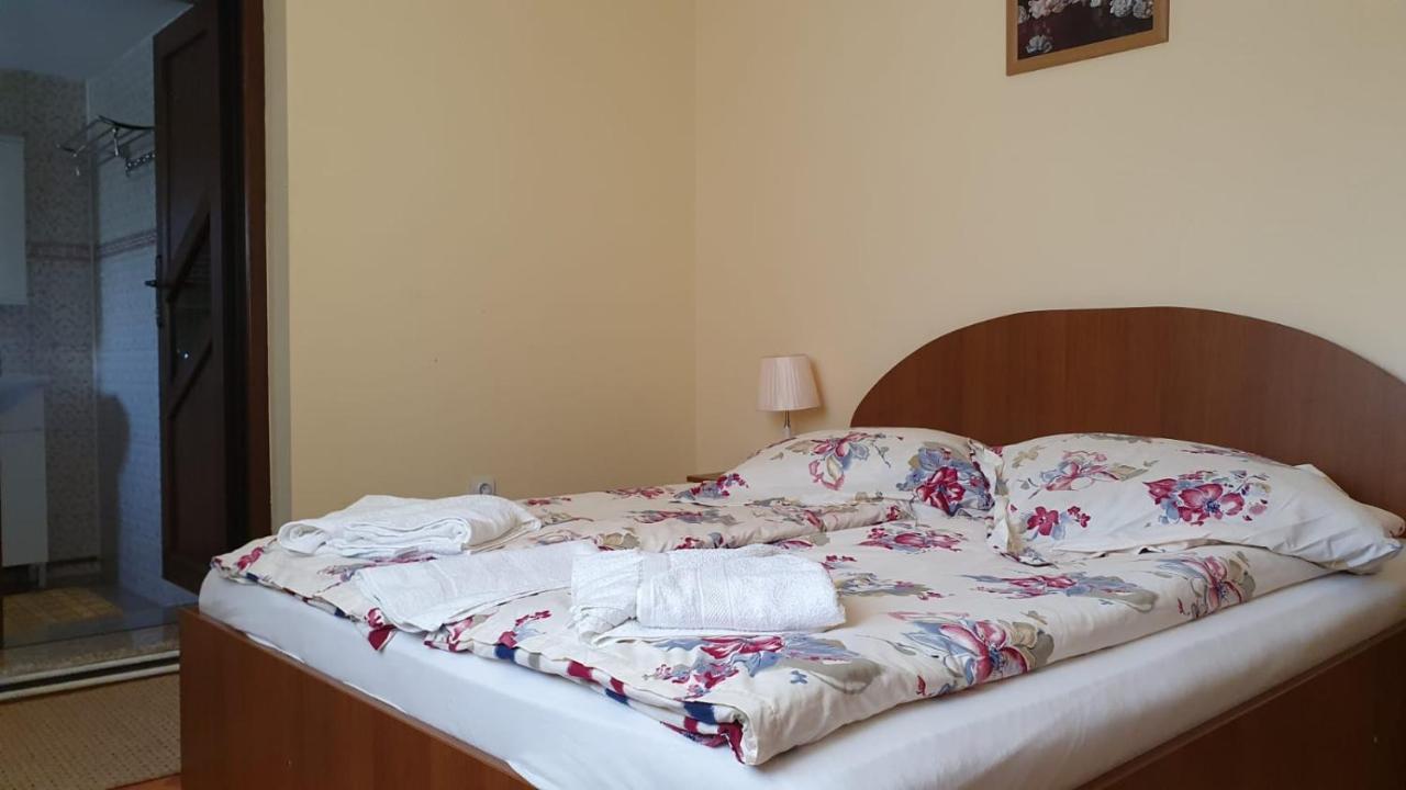 La Mosu-N Retezat Guest House Nucsoara  Ngoại thất bức ảnh