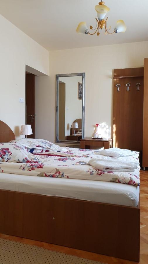 La Mosu-N Retezat Guest House Nucsoara  Ngoại thất bức ảnh