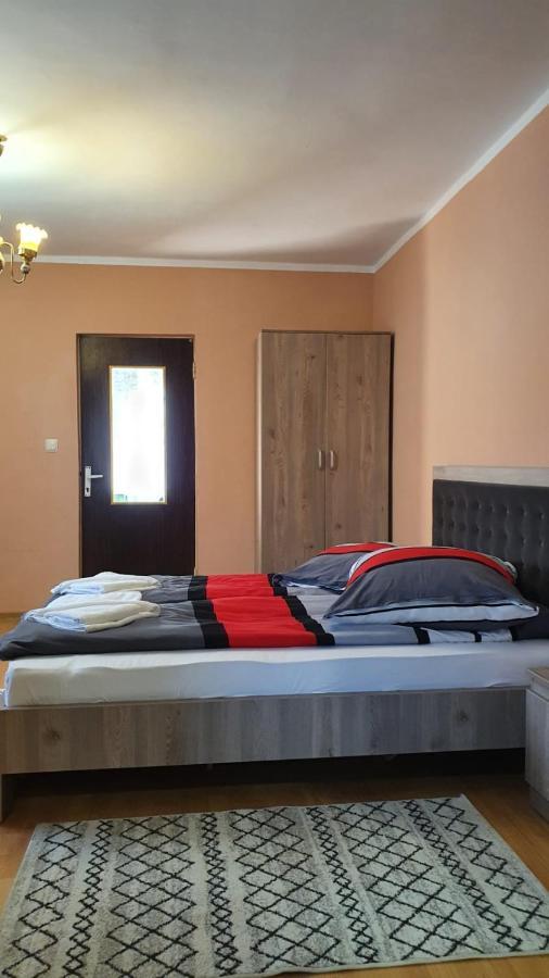 La Mosu-N Retezat Guest House Nucsoara  Ngoại thất bức ảnh