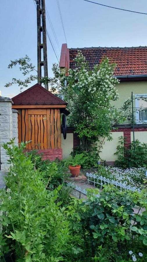 La Mosu-N Retezat Guest House Nucsoara  Ngoại thất bức ảnh