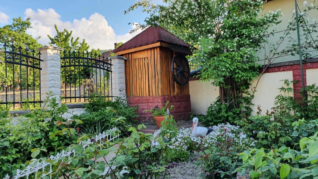 La Mosu-N Retezat Guest House Nucsoara  Ngoại thất bức ảnh