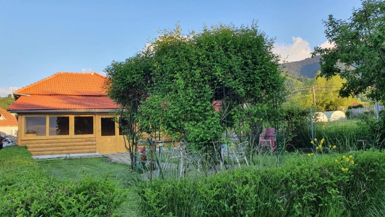 La Mosu-N Retezat Guest House Nucsoara  Ngoại thất bức ảnh