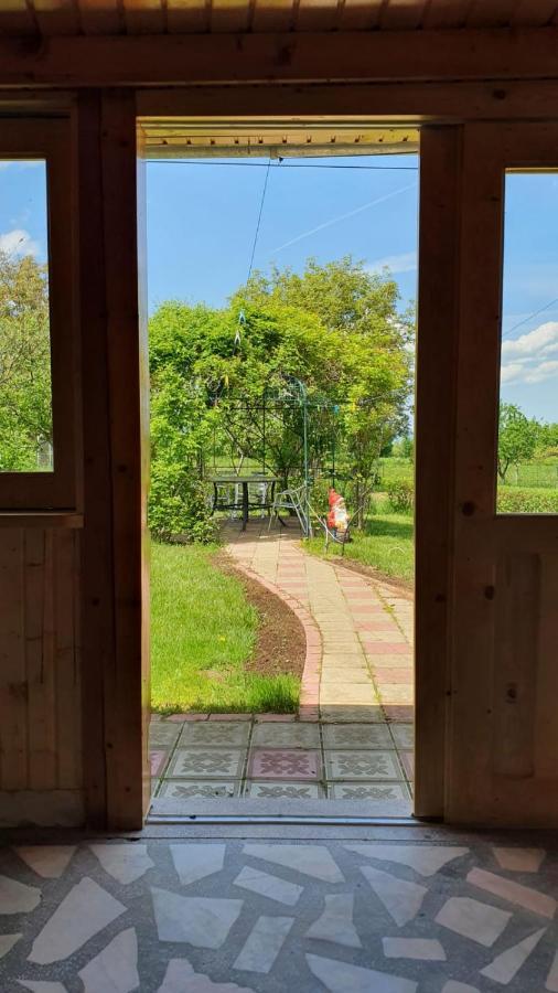 La Mosu-N Retezat Guest House Nucsoara  Ngoại thất bức ảnh