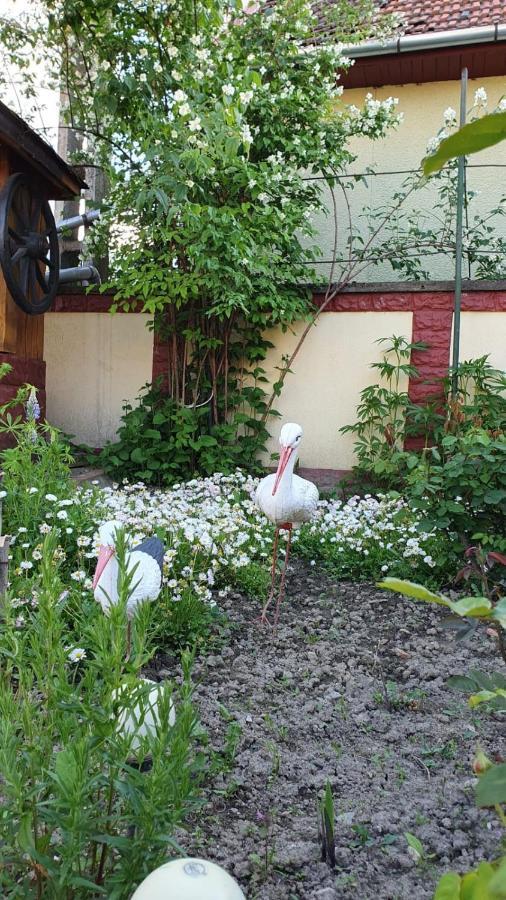 La Mosu-N Retezat Guest House Nucsoara  Ngoại thất bức ảnh