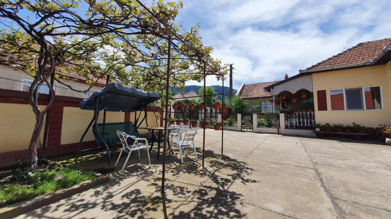 La Mosu-N Retezat Guest House Nucsoara  Ngoại thất bức ảnh