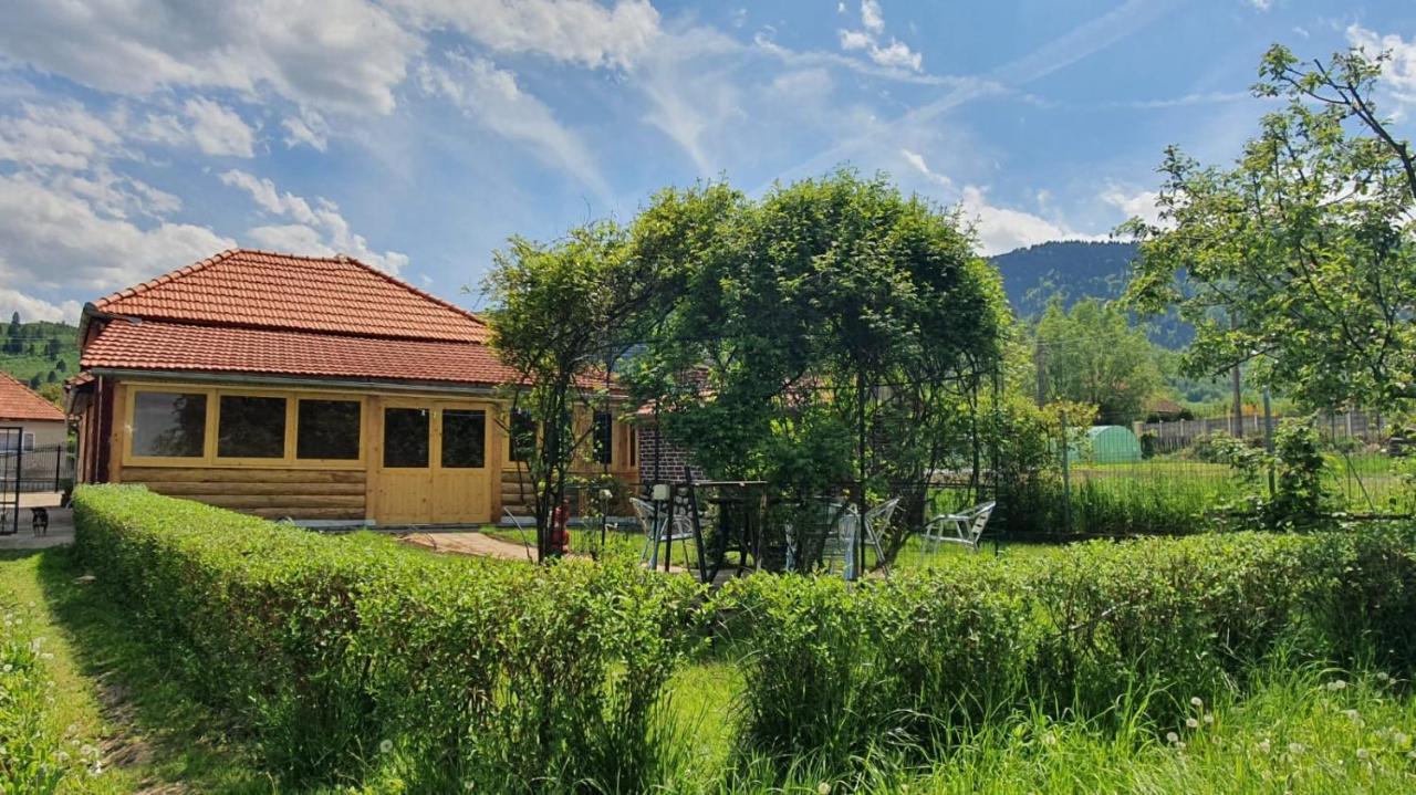 La Mosu-N Retezat Guest House Nucsoara  Ngoại thất bức ảnh