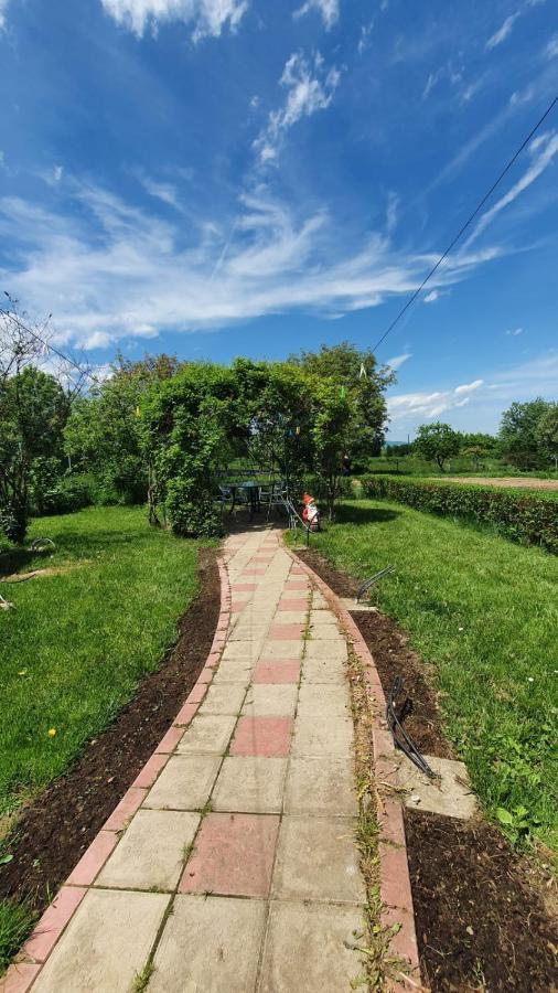 La Mosu-N Retezat Guest House Nucsoara  Ngoại thất bức ảnh