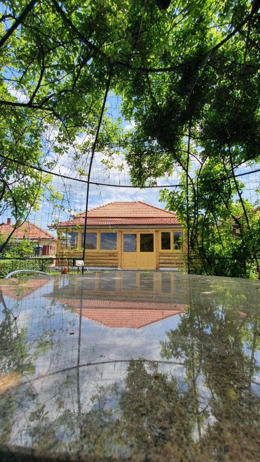 La Mosu-N Retezat Guest House Nucsoara  Ngoại thất bức ảnh