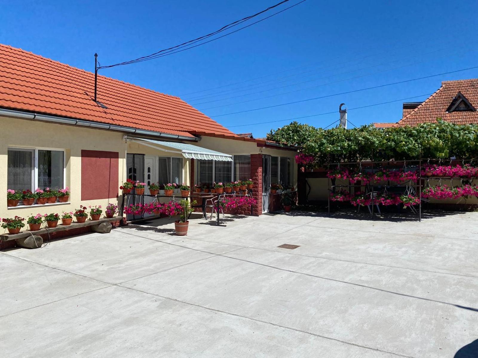 La Mosu-N Retezat Guest House Nucsoara  Ngoại thất bức ảnh
