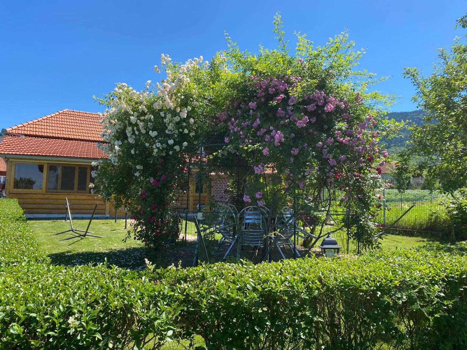 La Mosu-N Retezat Guest House Nucsoara  Ngoại thất bức ảnh