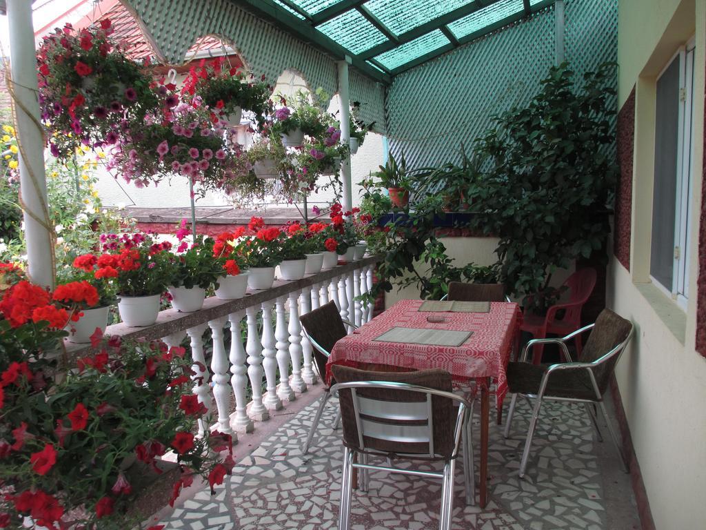 La Mosu-N Retezat Guest House Nucsoara  Ngoại thất bức ảnh