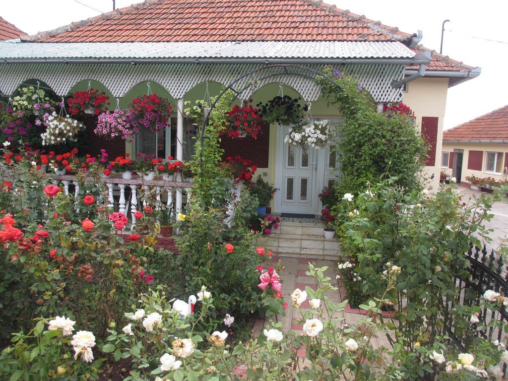 La Mosu-N Retezat Guest House Nucsoara  Ngoại thất bức ảnh