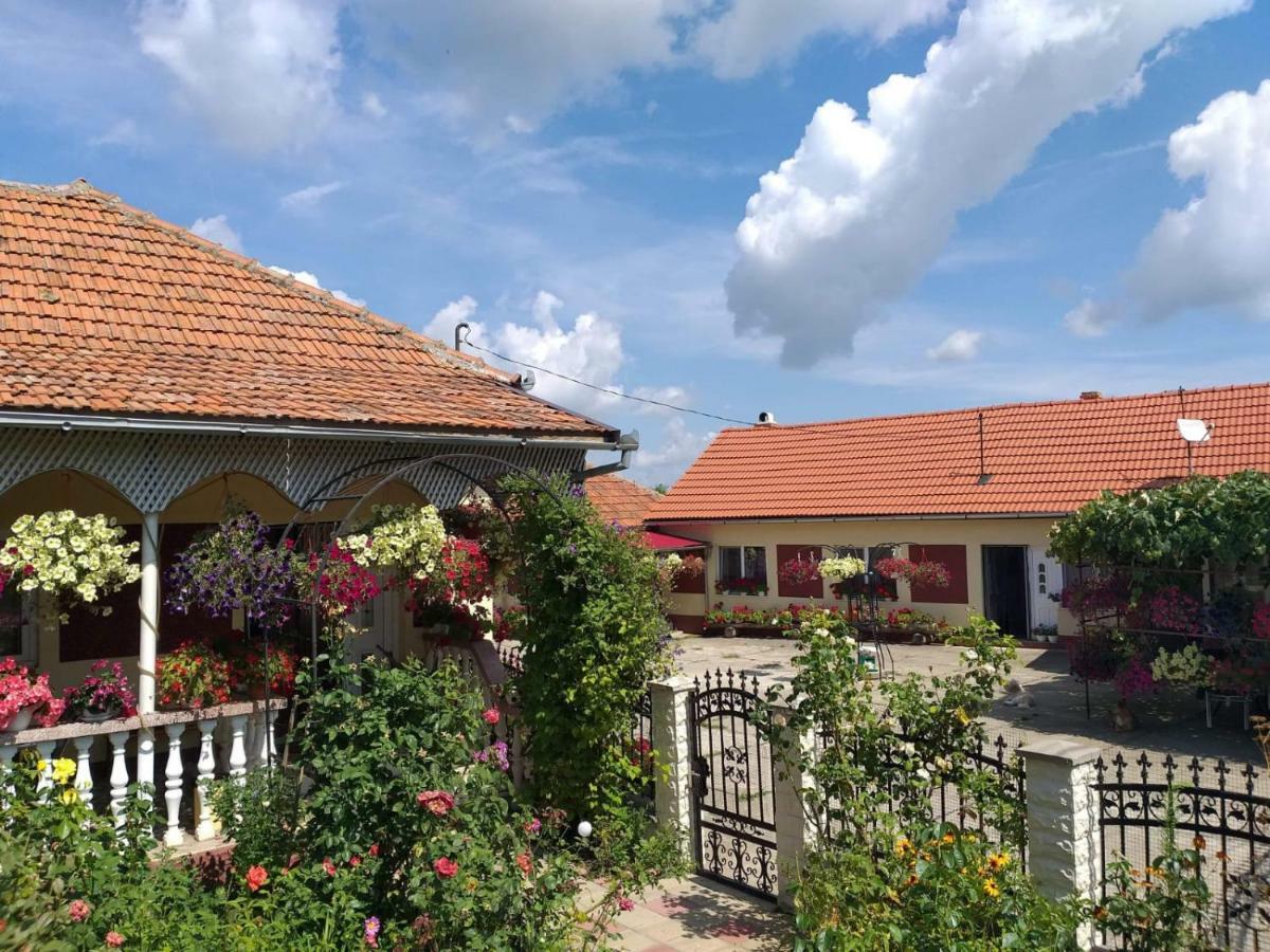 La Mosu-N Retezat Guest House Nucsoara  Ngoại thất bức ảnh